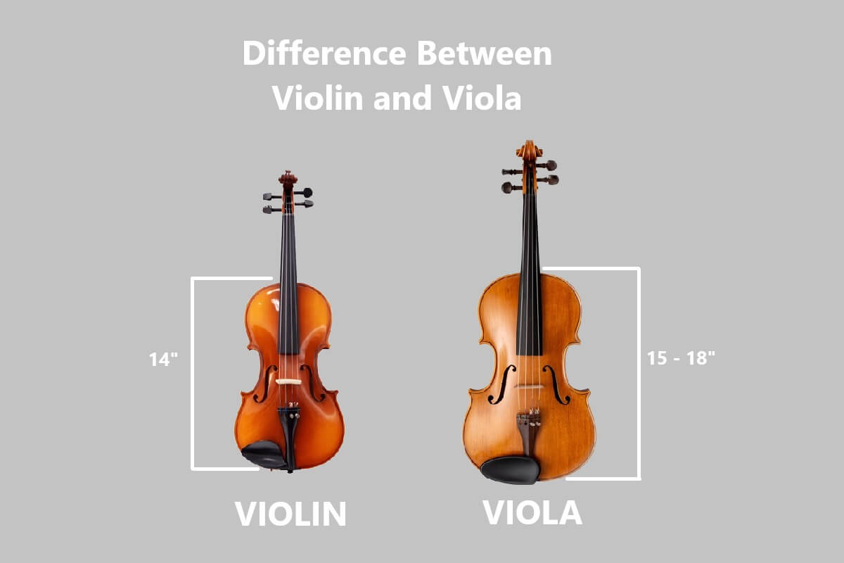 What is the Difference Between Violin and Viola? A Comprehensive Guide